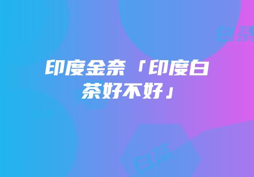 印度金奈「印度白茶好不好」