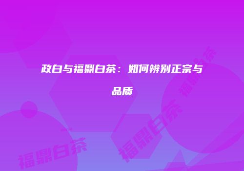 政白与福鼎白茶：如何辨别正宗与品质