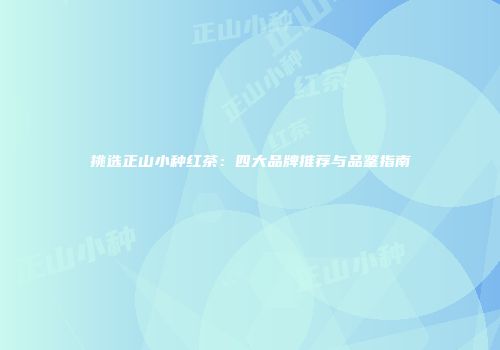挑选正山小种红茶：四大品牌推荐与品鉴指南