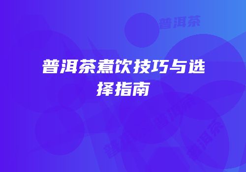 普洱茶煮饮技巧与选择指南