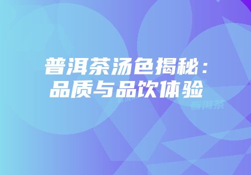 普洱茶汤色揭秘：品质与品饮体验