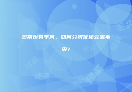 喝茶也有学问，如何分辨优质云雾毛尖？