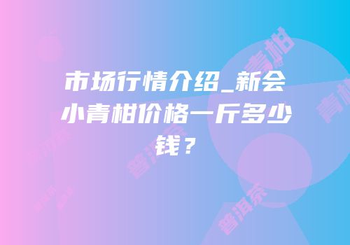 市场行情介绍_新会小青柑价格一斤多少钱？