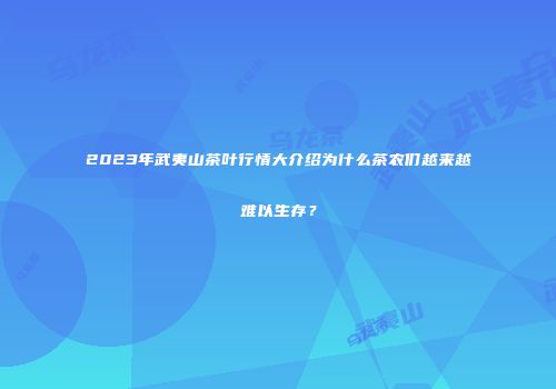 2023年武夷山茶叶行情大介绍为什么茶农们越来越难以生存？