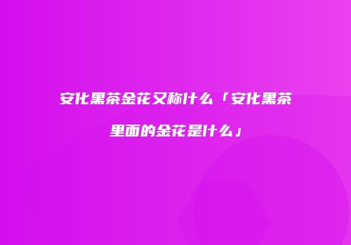 安化黑茶金花又称什么「安化黑茶里面的金花是什么」