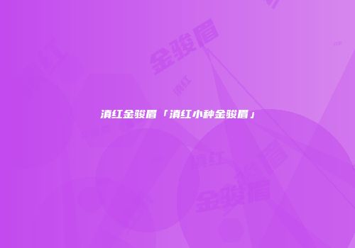 滇红金骏眉「滇红小种金骏眉」