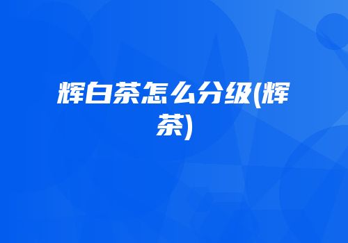 辉白茶怎么分级(辉茶)
