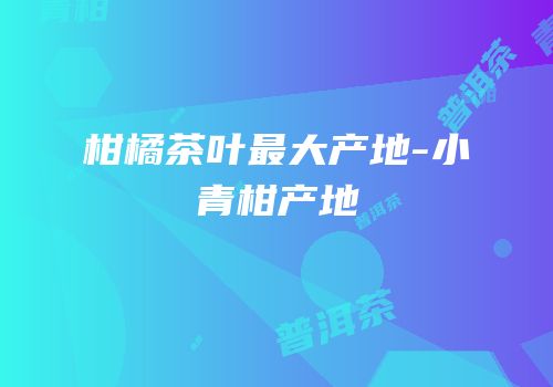 柑橘茶叶最大产地-小青柑产地