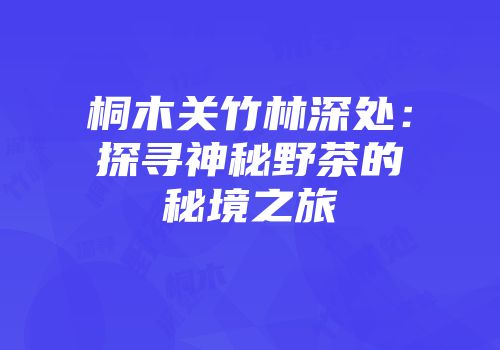 桐木关竹林深处：探寻神秘野茶的秘境之旅