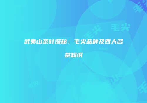 武夷山茶叶探秘：毛尖品种及四大名茶知识