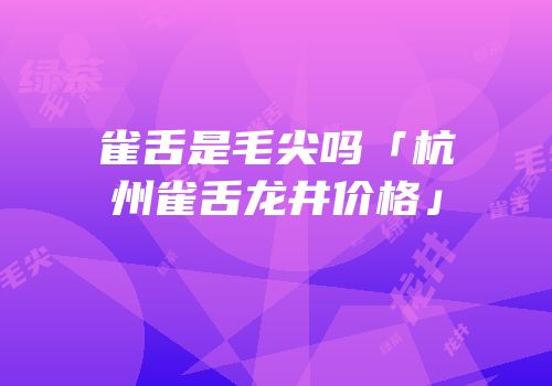 雀舌是毛尖吗「杭州雀舌龙井价格」