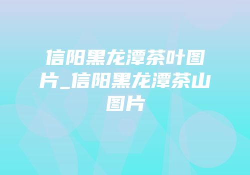 信阳黑龙潭茶叶图片_信阳黑龙潭茶山图片