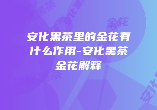 安化黑茶里的金花有什么作用-安化黑茶金花解释