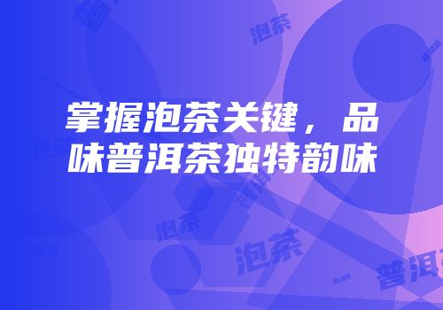 掌握泡茶关键，品味普洱茶独特韵味