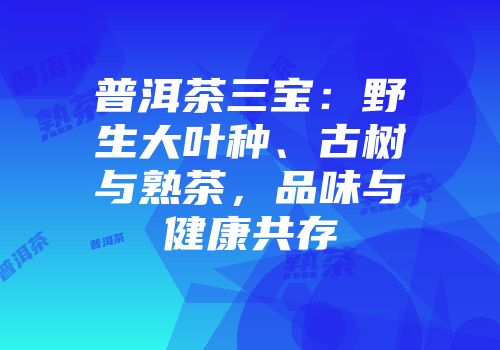 普洱茶三宝：野生大叶种、古树与熟茶，品味与健康共存