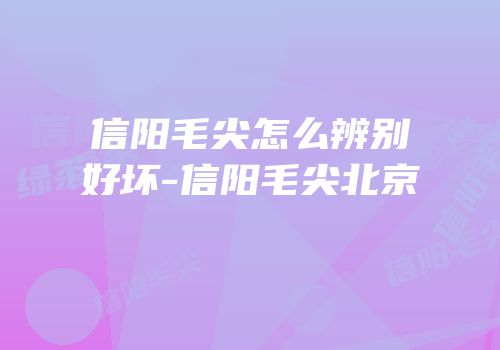 信阳毛尖怎么辨别好坏-信阳毛尖北京