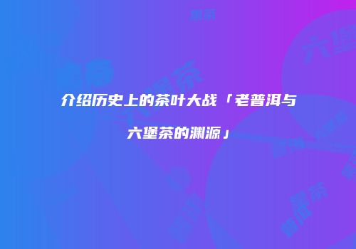 介绍历史上的茶叶大战「老普洱与六堡茶的渊源」