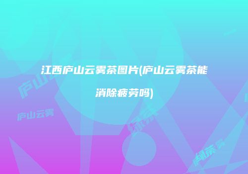 江西庐山云雾茶图片(庐山云雾茶能消除疲劳吗)