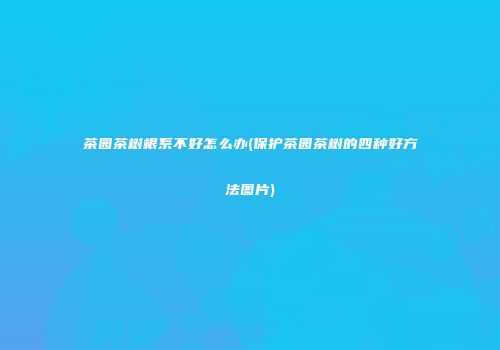茶园茶树根系不好怎么办(保护茶园茶树的四种好方法图片)