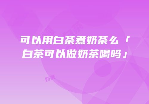 可以用白茶煮奶茶么「白茶可以做奶茶喝吗」