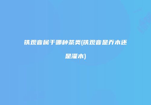 铁观音属于哪种茶类(铁观音是乔木还是灌木)
