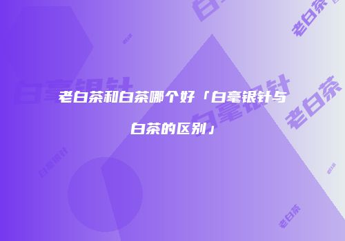 老白茶和白茶哪个好「白毫银针与白茶的区别」