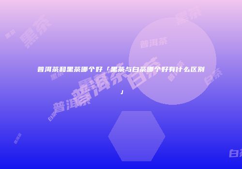 普洱茶和黑茶哪个好「黑茶与白茶哪个好有什么区别」