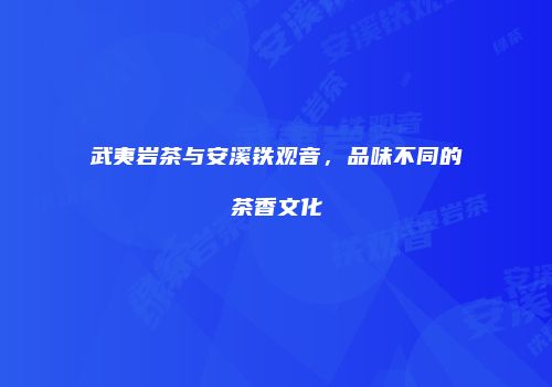 武夷岩茶与安溪铁观音，品味不同的茶香文化