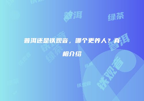 普洱还是铁观音，哪个更养人？真相介绍