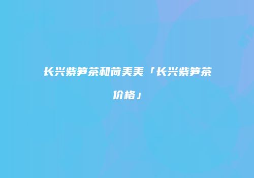 长兴紫笋茶和荷美美「长兴紫笋茶价格」