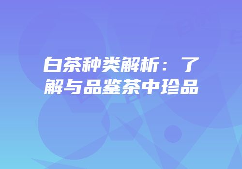 白茶种类解析：了解与品鉴茶中珍品