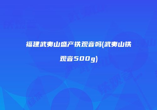 福建武夷山盛产铁观音吗(武夷山铁观音500g)