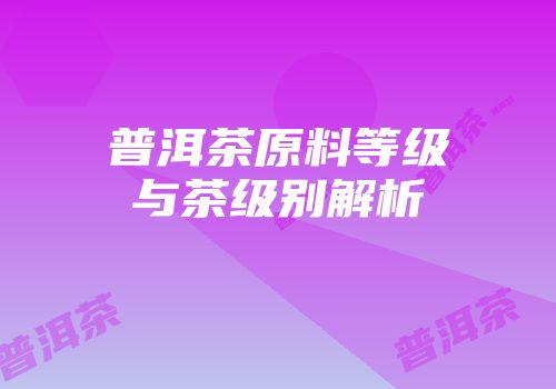 普洱茶原料等级与茶级别解析