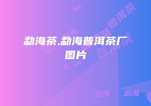 勐海茶,勐海普洱茶厂图片