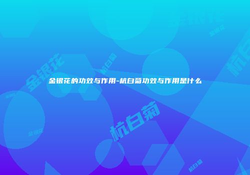 金银花的功效与作用-杭白菊功效与作用是什么