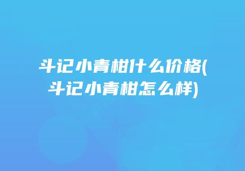 斗记小青柑什么价格(斗记小青柑怎么样)