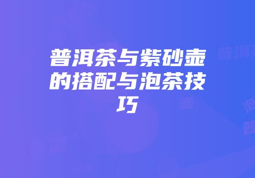 普洱茶与紫砂壶的搭配与泡茶技巧