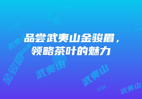 品尝武夷山金骏眉，领略茶叶的魅力