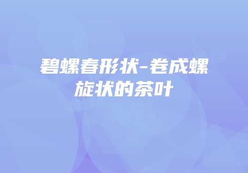 碧螺春形状-卷成螺旋状的茶叶