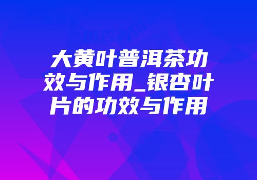 大黄叶普洱茶功效与作用_银杏叶片的功效与作用