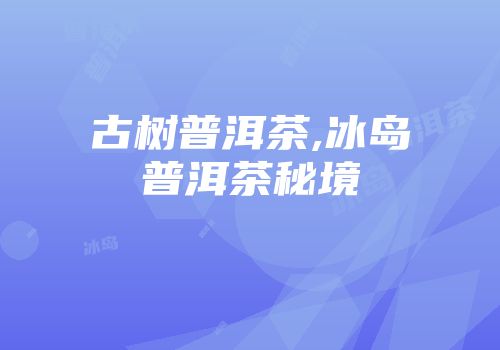 古树普洱茶,冰岛普洱茶秘境