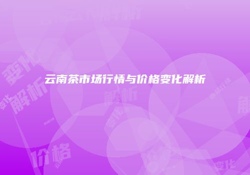 云南茶市场行情与价格变化解析