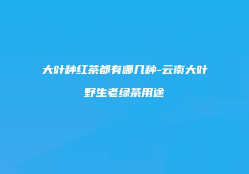 大叶种红茶都有哪几种-云南大叶野生老绿茶用途