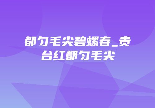 都匀毛尖碧螺春_贵台红都匀毛尖