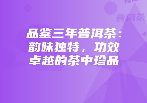 品鉴三年普洱茶：韵味独特，功效卓越的茶中珍品