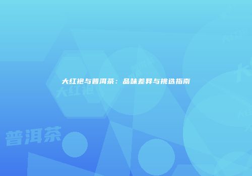 大红袍与普洱茶：品味差异与挑选指南