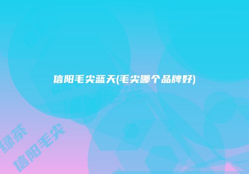 信阳毛尖蓝天(毛尖哪个品牌好)