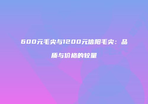 600元毛尖与1200元信阳毛尖：品质与价格的较量