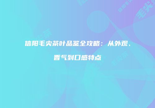 信阳毛尖茶叶品鉴全攻略：从外观、香气到口感特点