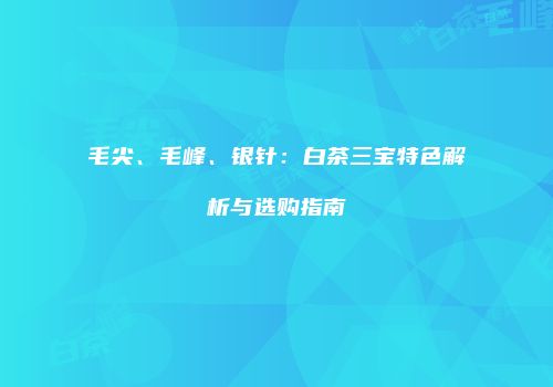 毛尖、毛峰、银针：白茶三宝特色解析与选购指南